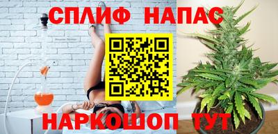 Альфа ПВП Можайск