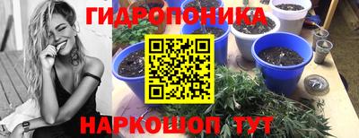 2c-b Моздок